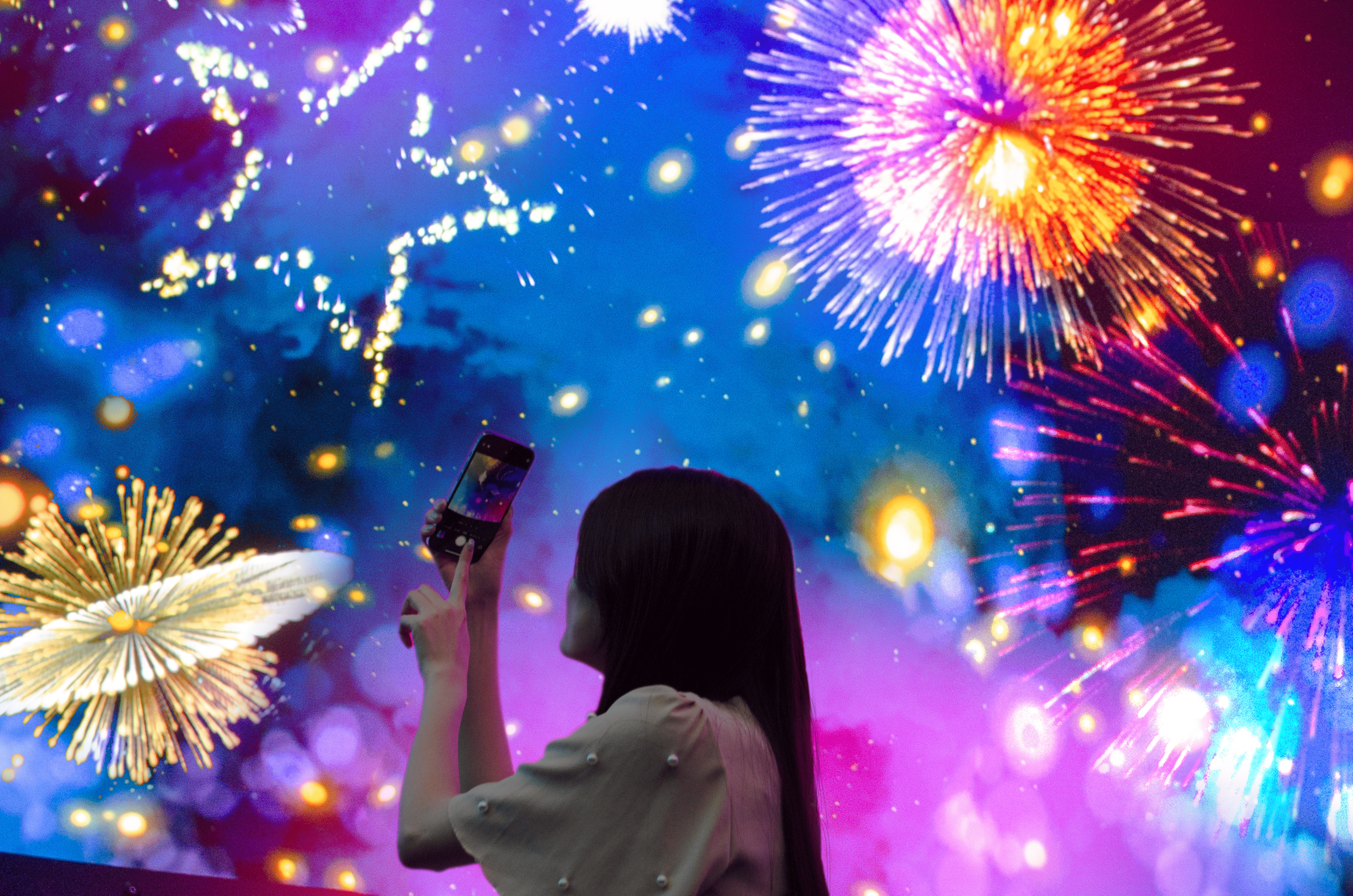 花火映像を撮影する来場者
