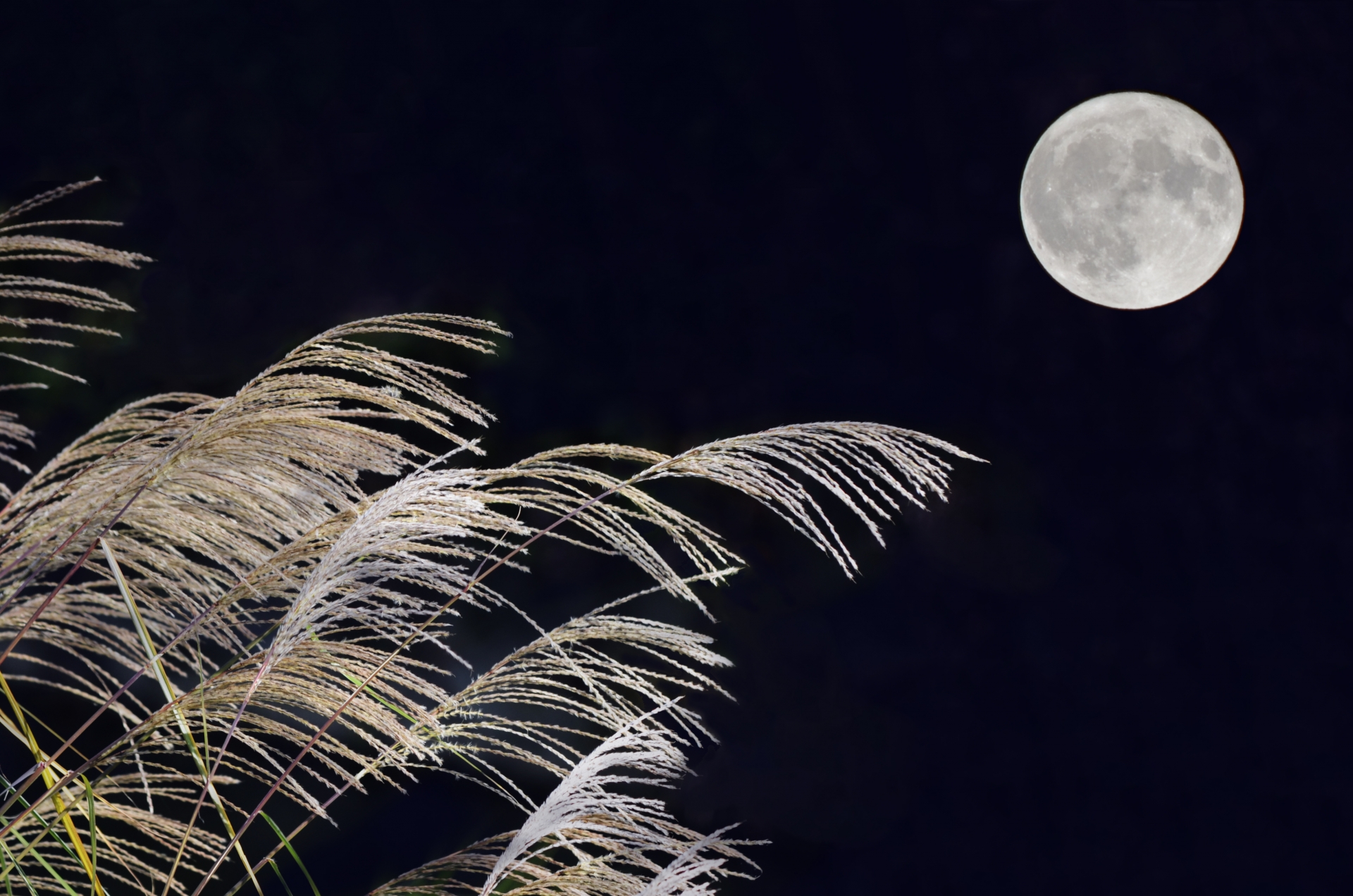 秋の星空と月のふしぎ プラネタリウム コニカミノルタ
